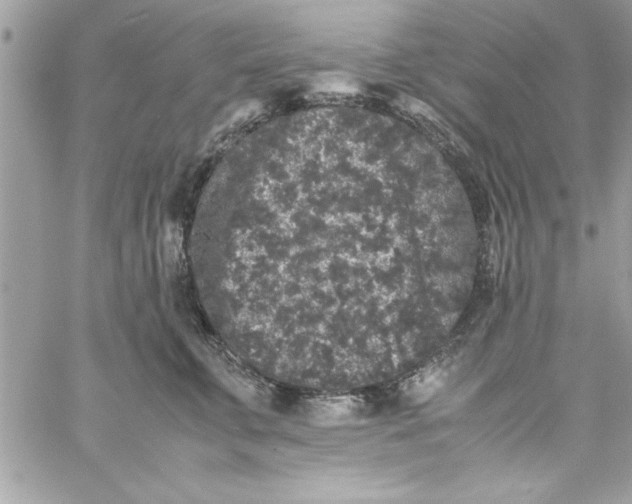 X0000057100711200510071937