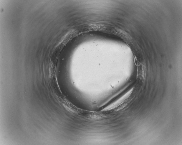 X0000057100712200510071937