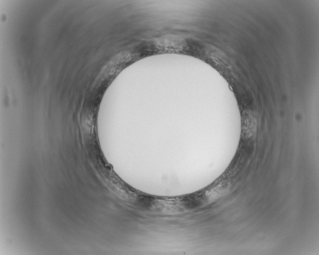 X0000057100713200510071937