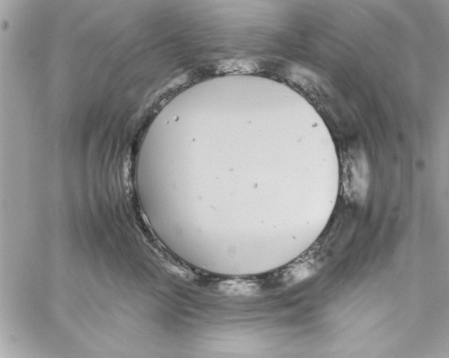 X0000057100714200510071937