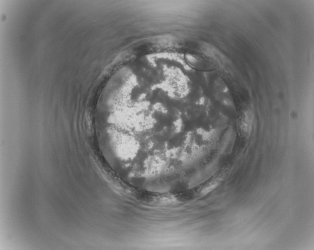 X0000057100715200510071937