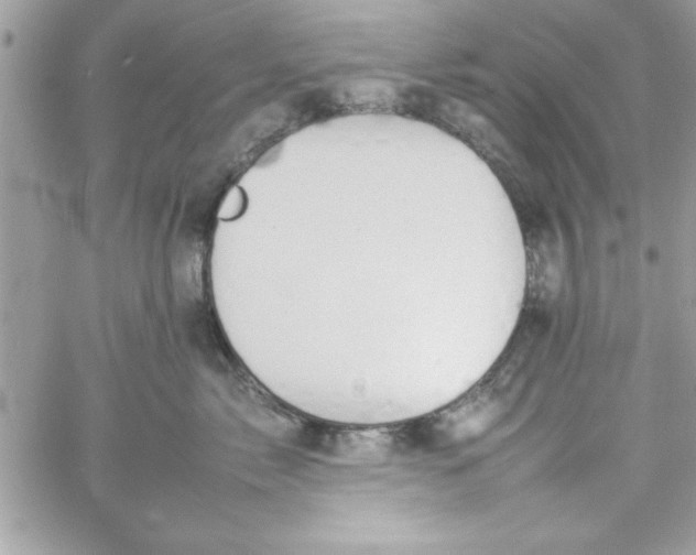 X0000057100717200510071937