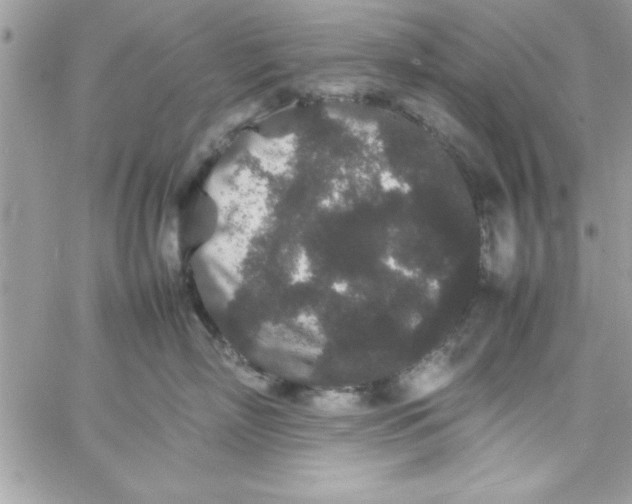 X0000057100718200510071937