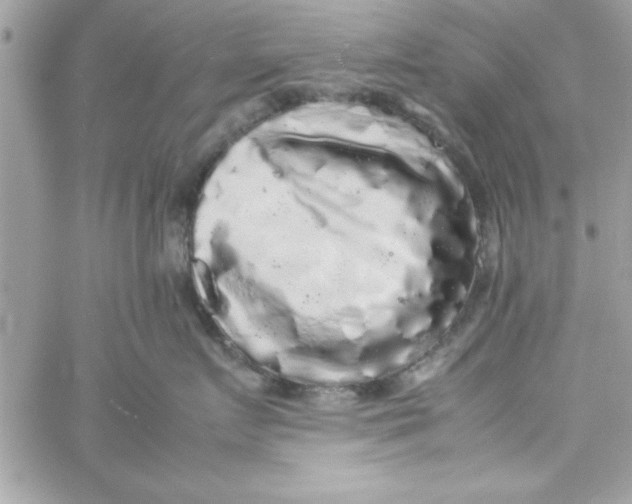 X0000057100719200510071937