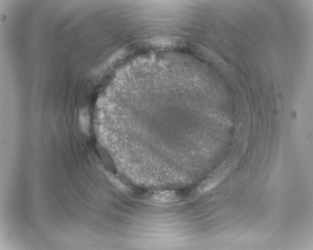 X0000057100720200510071937