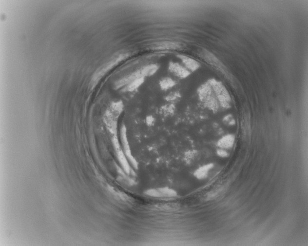 X0000057100721200510071936