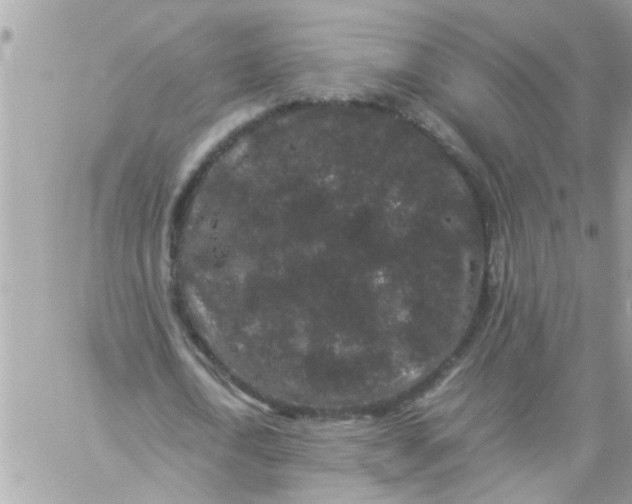 X0000057100722200510071936