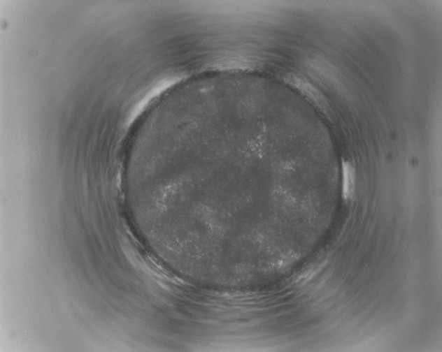 X0000057100723200510071936