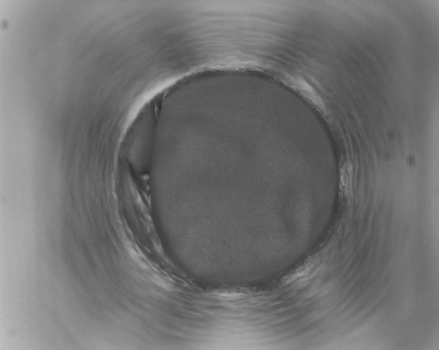 X0000057100724200510071936