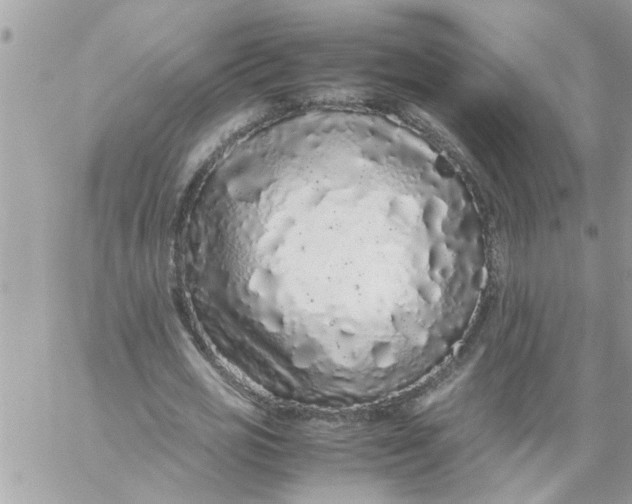 X0000057100725200510071936