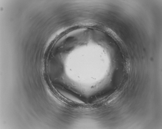 X0000057100726200510071936