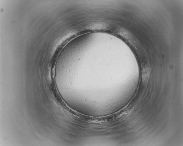 X0000057100727200510071936