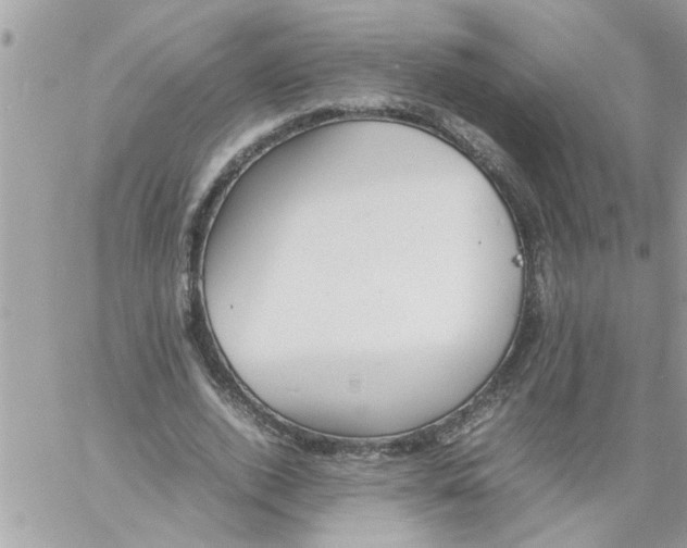 X0000057100728200510071936