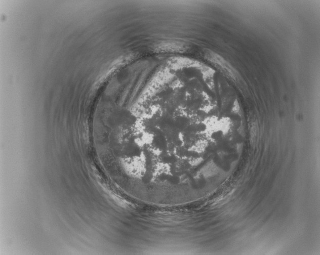 X0000057100729200510071936