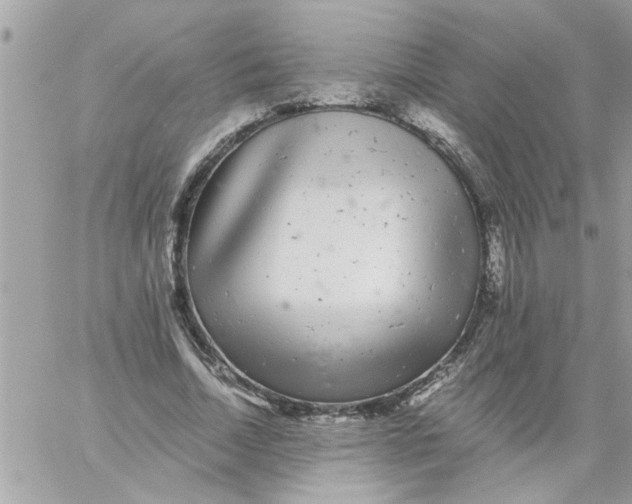 X0000057100730200510071936