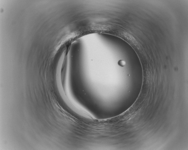 X0000057100731200510071936