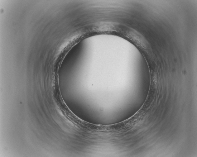 X0000057100732200510071936