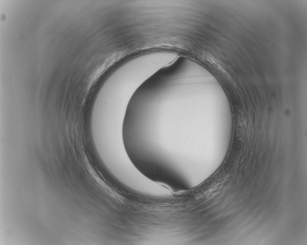 X0000057100734200510071936