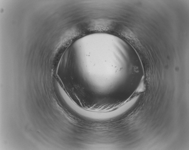 X0000057100735200510071936