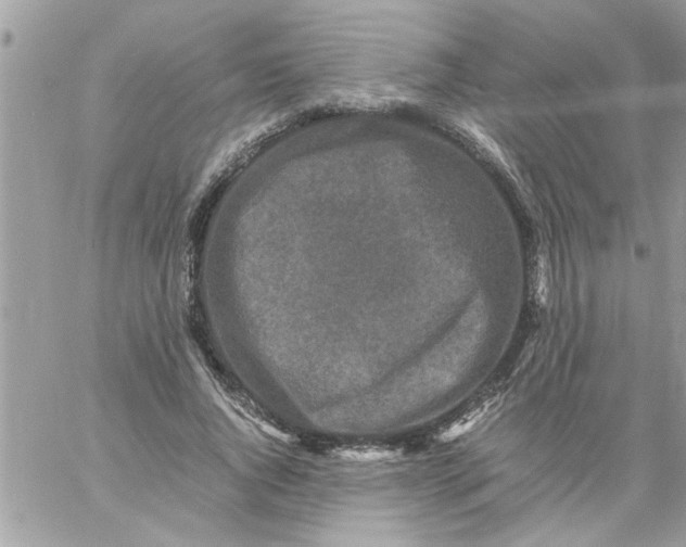 X0000057100736200510071936