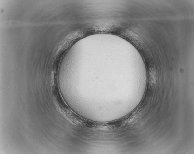 X0000057100738200510071936