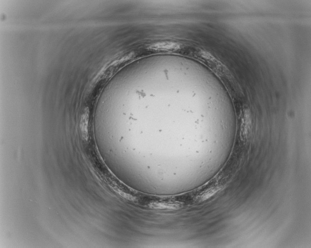 X0000057100739200510071936