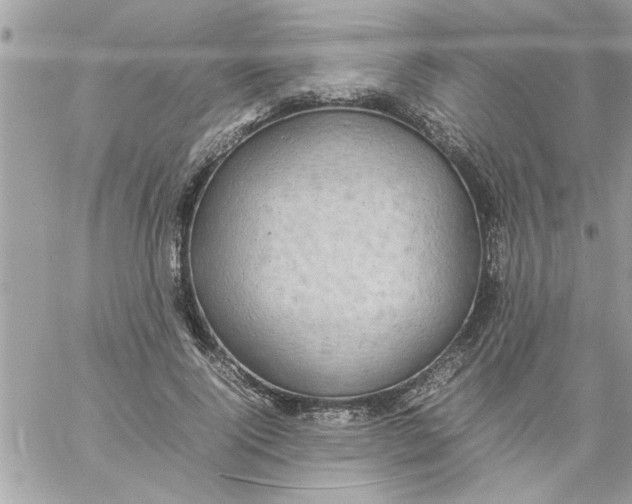 X0000057100740200510071936