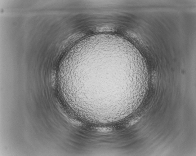 X0000057100741200510071936