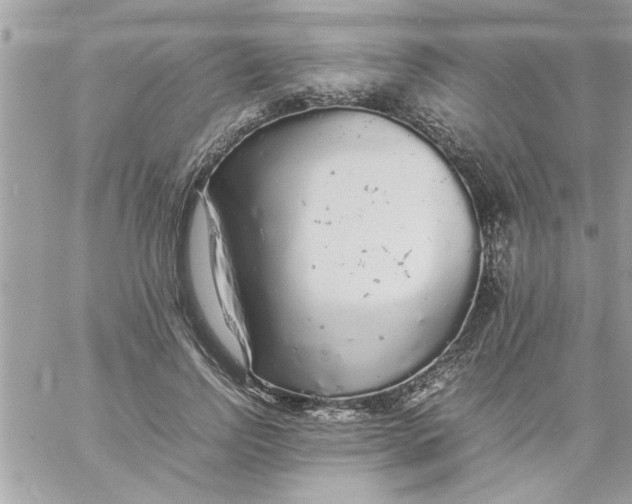 X0000057100742200510071936