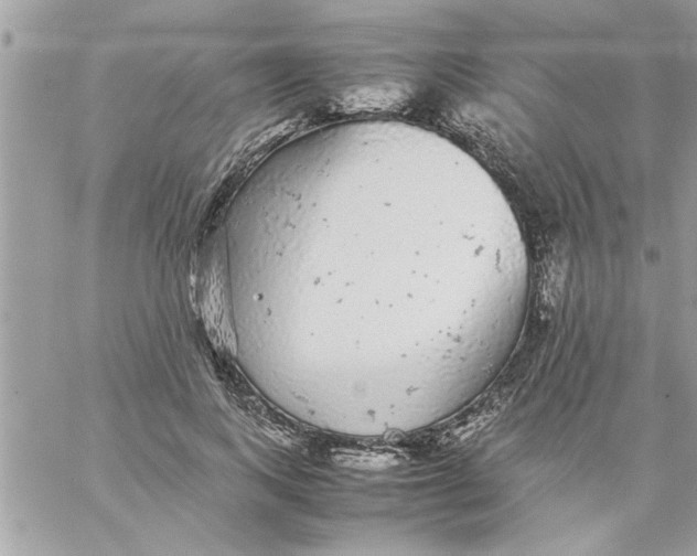 X0000057100743200510071936