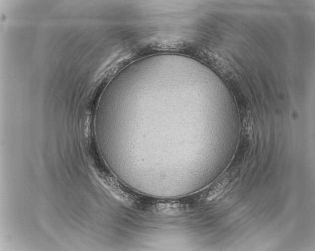 X0000057100744200510071936