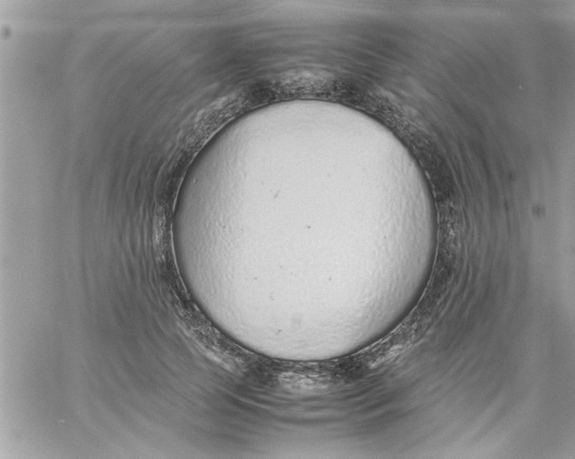 X0000057100745200510071936