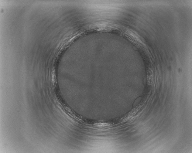 X0000057100748200510071937