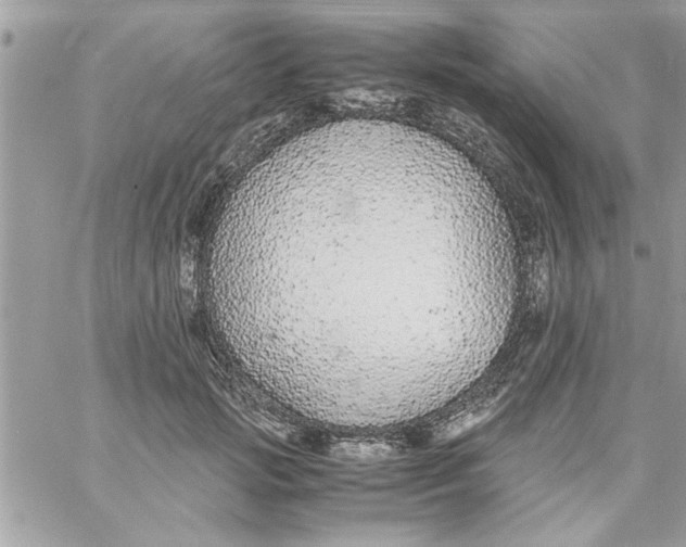 X0000057100749200510071937