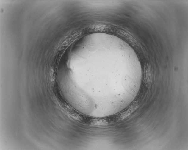 X0000057100750200510071937