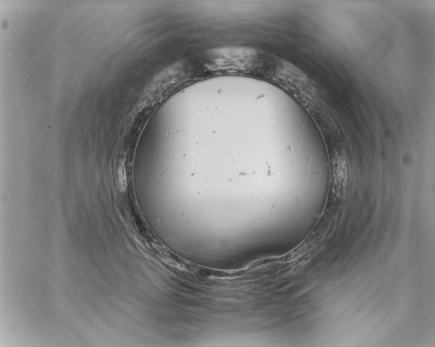 X0000057100751200510071937