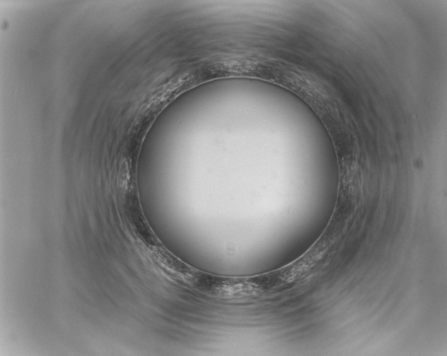 X0000057100752200510071937