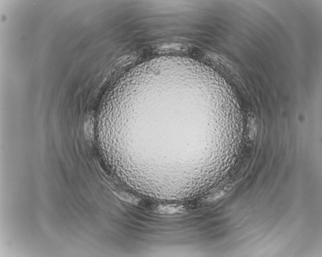 X0000057100753200510071937