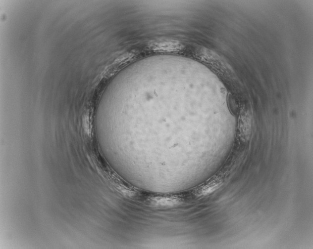 X0000057100755200510071937