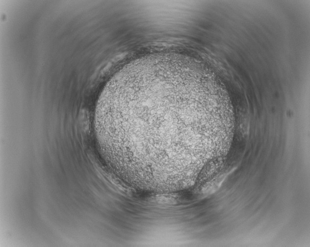 X0000057100758200510071937