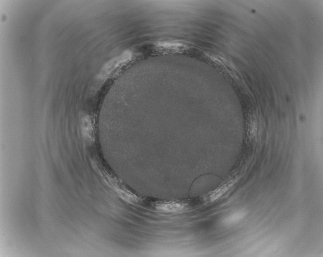 X0000057100759200510071937