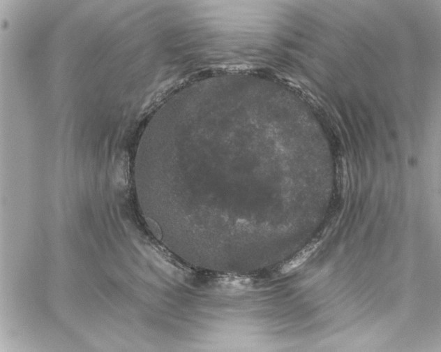 X0000057100760200510071937