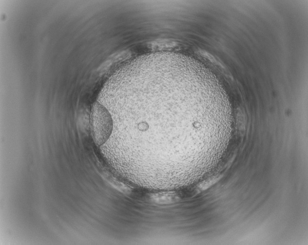 X0000057100761200510071937