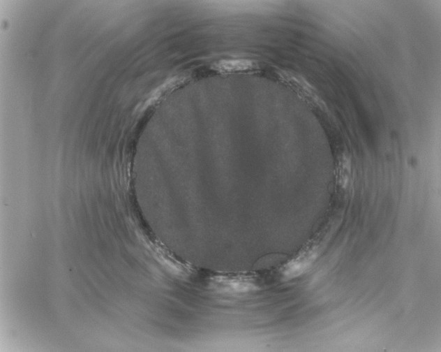 X0000057100763200510071937