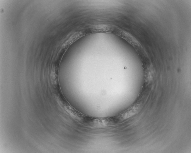 X0000057100764200510071937