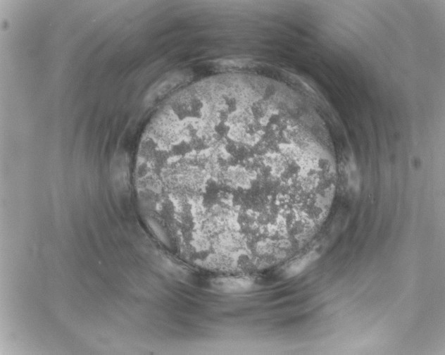 X0000057100765200510071937