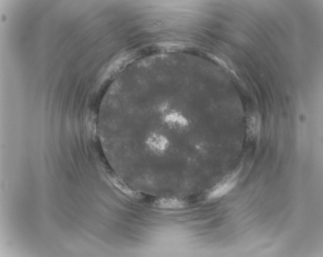 X0000057100766200510071937