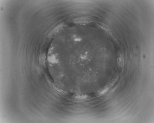 X0000057100767200510071937