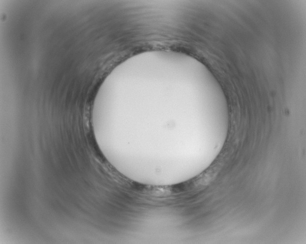 X0000057100768200510071937