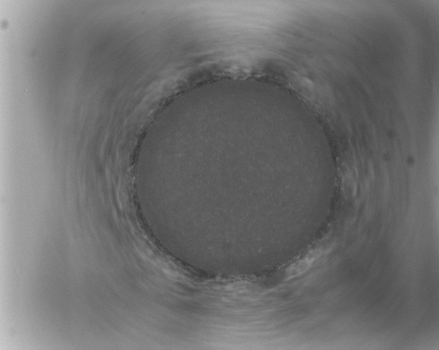 X0000057100769200510071936